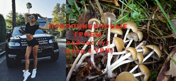 MESCALINE Михайловка
