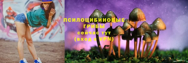 спайс Михайлов