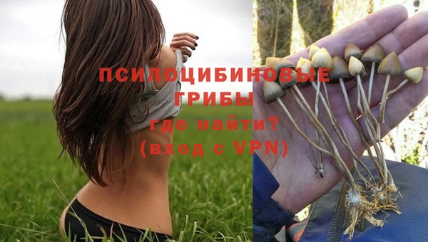 прущий лед Михайловск