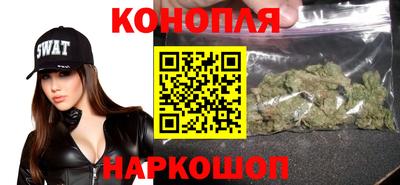 СК Волгодонск
