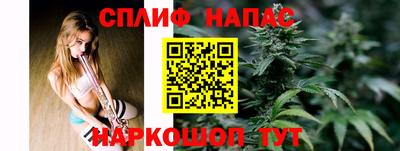 СК Волгодонск