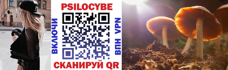 mega маркетплейс  Печора  Псилоцибиновые грибы GOLDEN TEACHER 