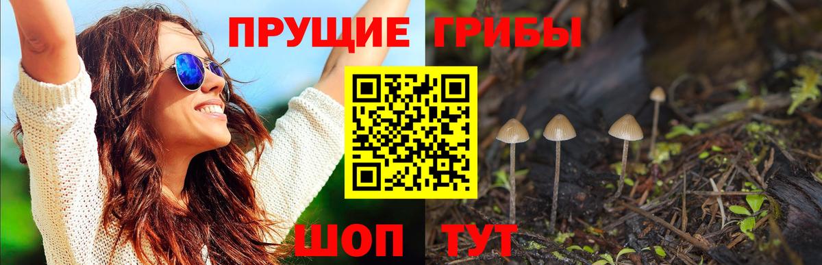 Галлюциногенные грибы прущие грибы  Вход с VPN  Псилоцибиновые грибы GOLDEN TEACHER  Печора 