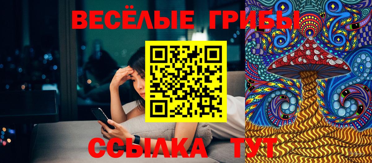 Галлюциногенные грибы Cubensis Печора